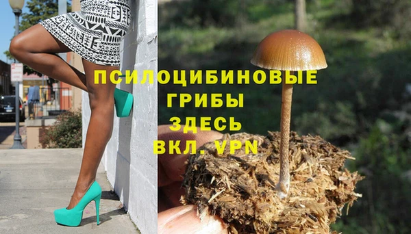 дмт Балабаново