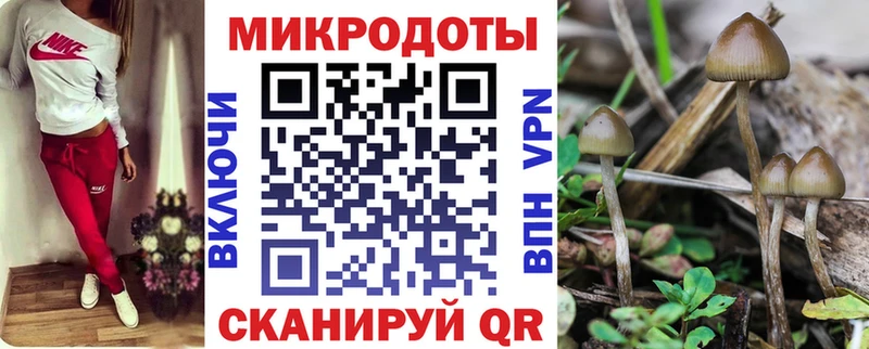 Галлюциногенные грибы мицелий Ворсма